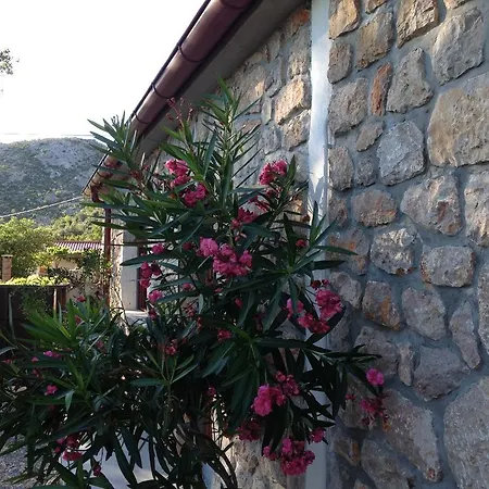 Milovci