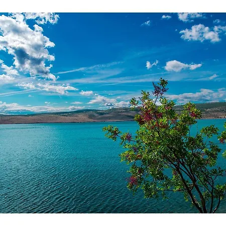 Milovci Starigrad Paklenica