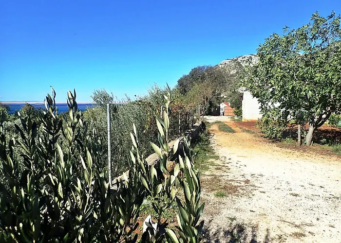 Milovci * Starigrad Paklenica
